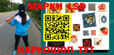 стафф Кингисепп
