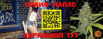стафф Кингисепп