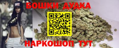 стафф Кингисепп