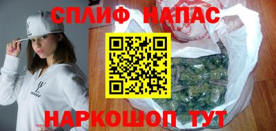 стафф Кингисепп