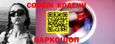 стафф Кингисепп