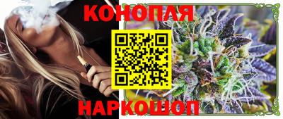 стафф Кингисепп