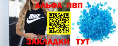 стафф Кингисепп