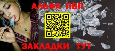 стафф Кингисепп