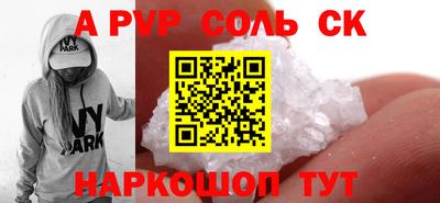 стафф Кингисепп