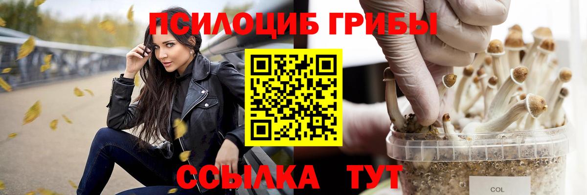 Галлюциногенные грибы MAGIC MUSHROOMS Краснознаменск